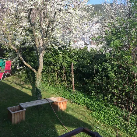 Schones In Gimmeldingen/ Konigsbach
