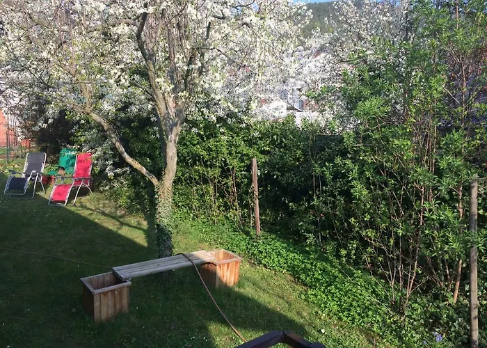 Schones In Gimmeldingen/ Konigsbach